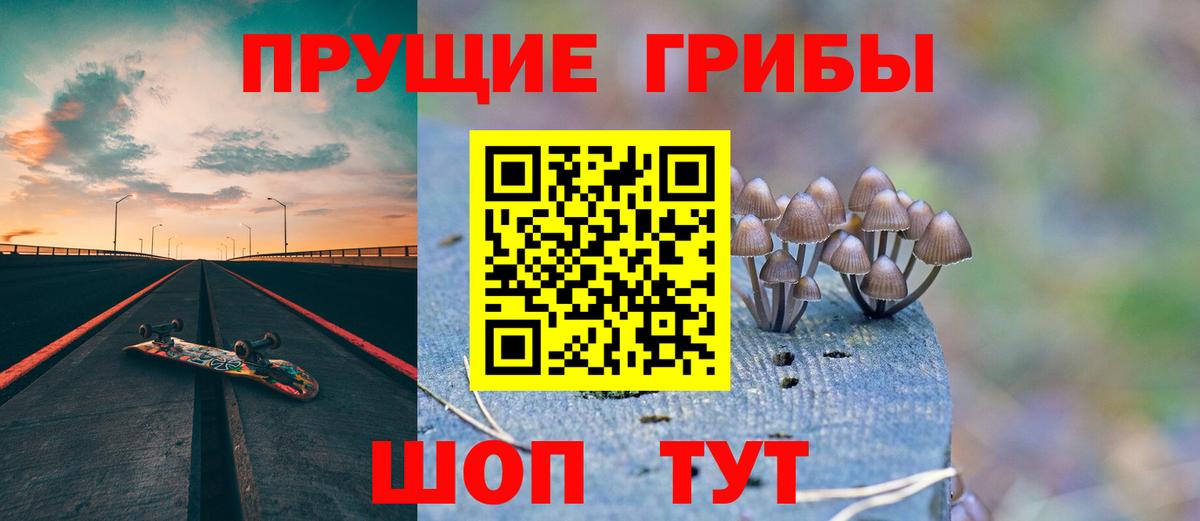 Псилоцибиновые грибы GOLDEN TEACHER Кимовск