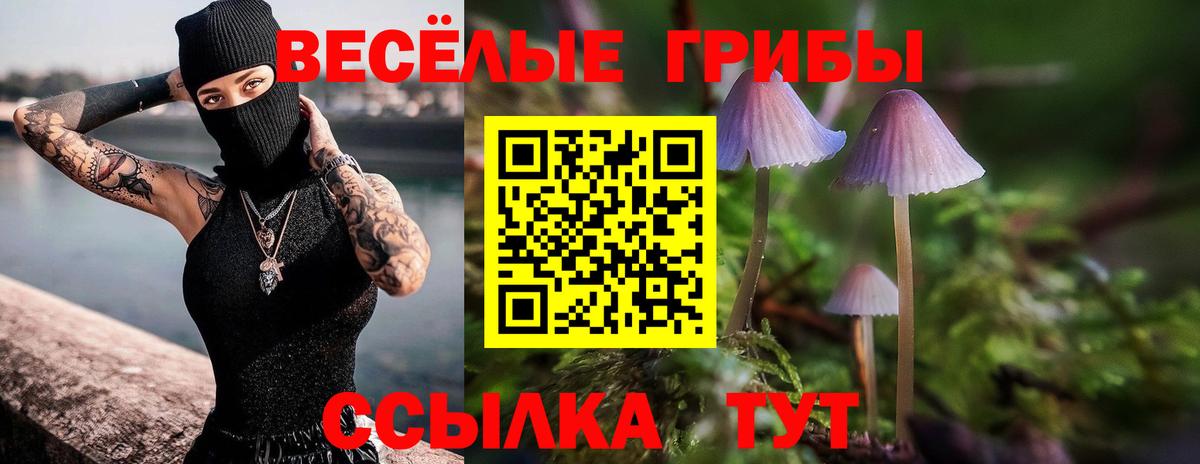 Галлюциногенные грибы GOLDEN TEACHER  Галлюциногенные грибы ЛСД  сколько стоит  Кимовск  Вход с VPN 